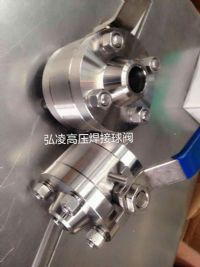 �߉��������y