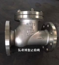 ����ֹ���y